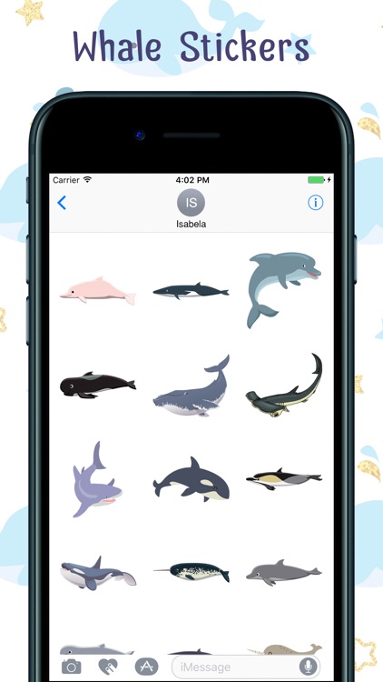 Whale Stickers!