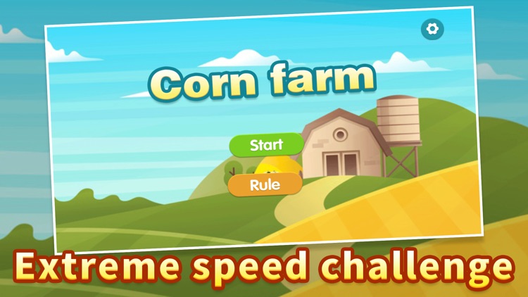 Corn farm