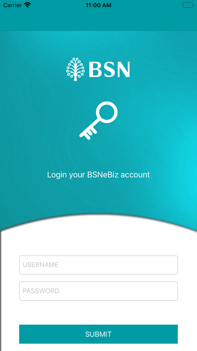 BSNeBiz Mobile- Corporate User screenshot 2