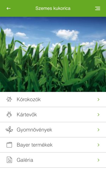 GazdaInfo Bayer Termékkat.