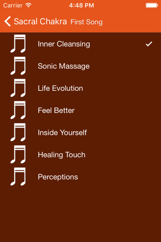 Sacral Chakra Cleansing 303Hz - náhled