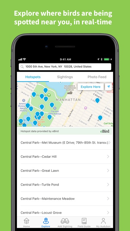 Audubon Bird Guide screenshot-3