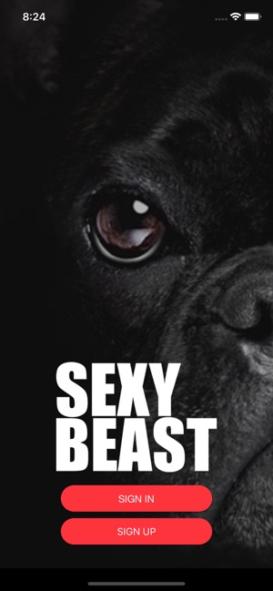 Sexy Beast(圖1)-速報App