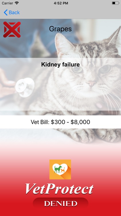 VetProtect screenshot-4