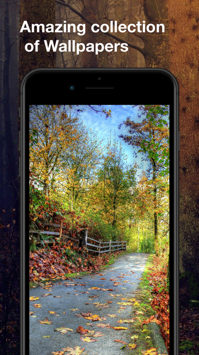 秋の壁紙 Hd Iphoneアプリ Applion
