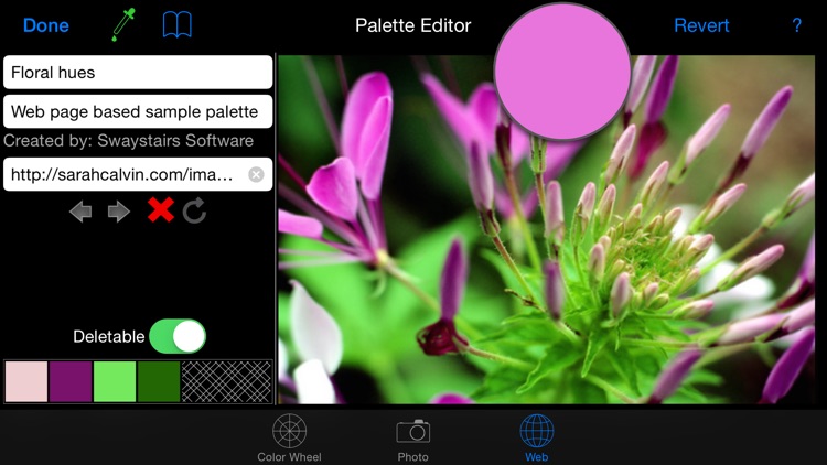 Color Hints screenshot-3