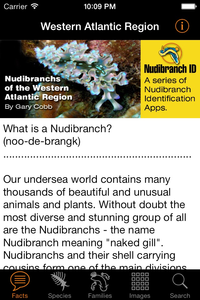Nudibranch ID Western Atlantic screenshot 2