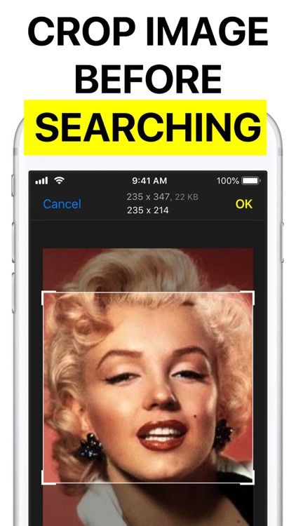 Reversee: Reverse Image Search screenshot-3