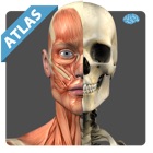 Top 29 Medical Apps Like Anatomy Atlas Free - Best Alternatives