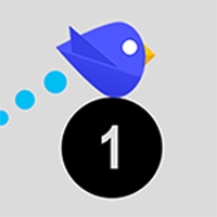 Number Pigeon - Tap  Fly