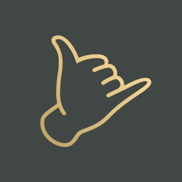 Coffee Law By Spider Web Group Limited