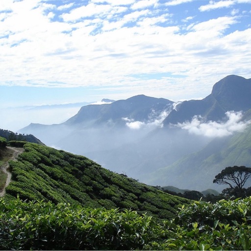 Munnar-Offline Reference