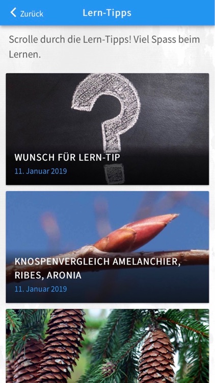 Gehölze im Winter screenshot-6