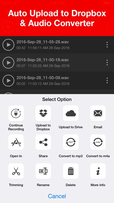Voice Recorder Lite: Record HD iphone images