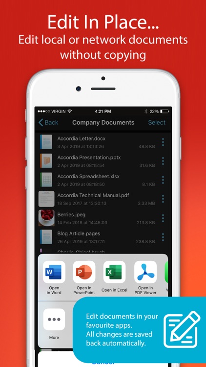 FileBrowser for Business screenshot-4