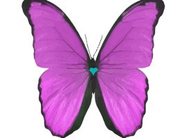 The Pastel Butterflies