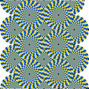 Optical Illusions Catalog app review