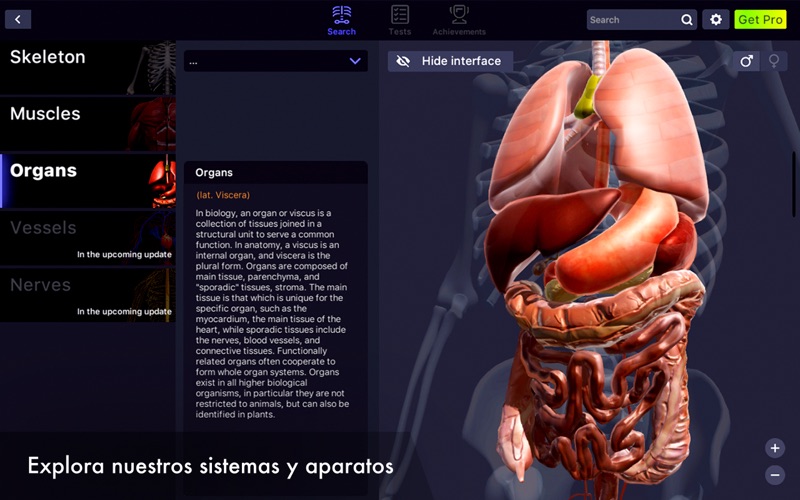 Anatomía Humana - Atlas 3D Para PC Y Mac - Descargar Gratis (2021 ...