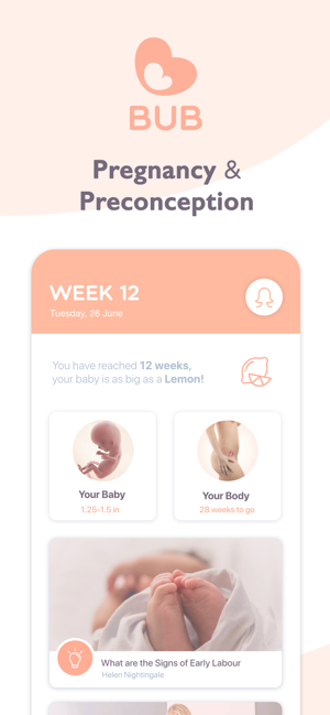 BUB - Pregnancy Companion(圖1)-速報App