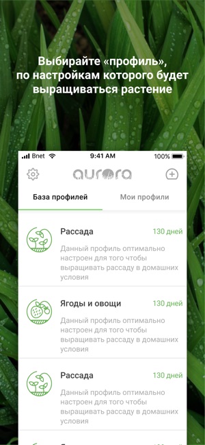 Aurora SmartLight(圖3)-速報App