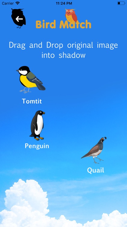 Bird Shadow Match screenshot-3