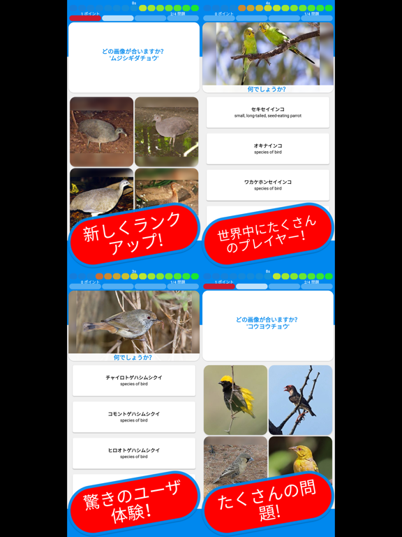 鳥 & 鳥 クイズ 日本ののおすすめ画像1
