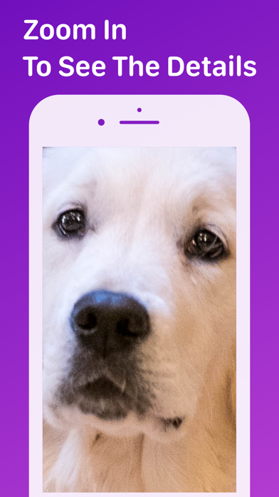 Pet Monitor Screenshot 6