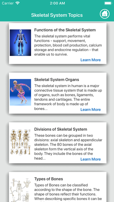 Human Anatomy : Skeletal System Screenshot 6