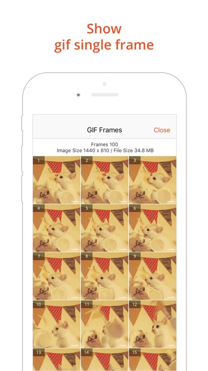 GIF Viewer Pro - GIF Album screenshot-4