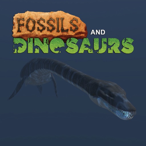 Fossils & Dinosaurs