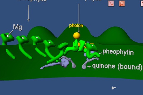 Bioanim Complete screenshot 3