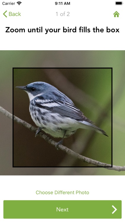 Merlin Bird ID by Cornell Lab screenshot-6