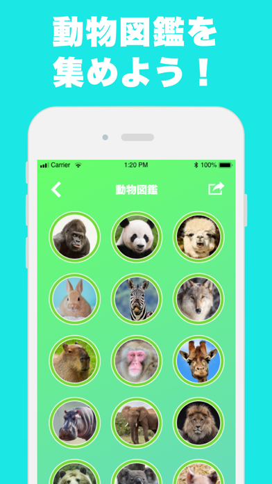 似てる顔の動物を診断するアプリ どうぶつカメラ By Ai Ito Ios 日本 Searchman アプリマーケットデータ