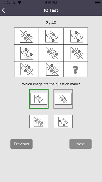 IQ Test Pro screenshot 4