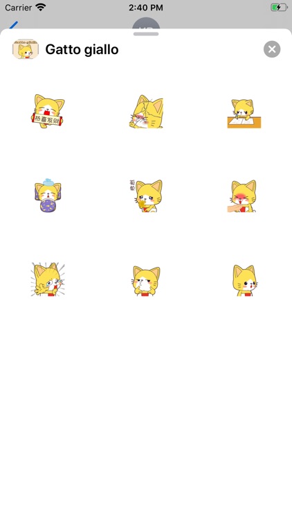 Gatto giallo