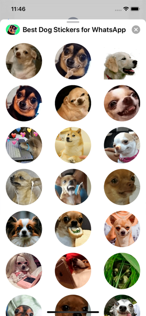 Best Dog Stickers for WhatsApp(圖2)-速報App