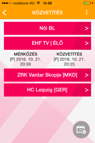 HandballProgram screenshot 3