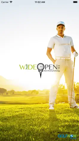 Game screenshot Wide Open Tee mod apk