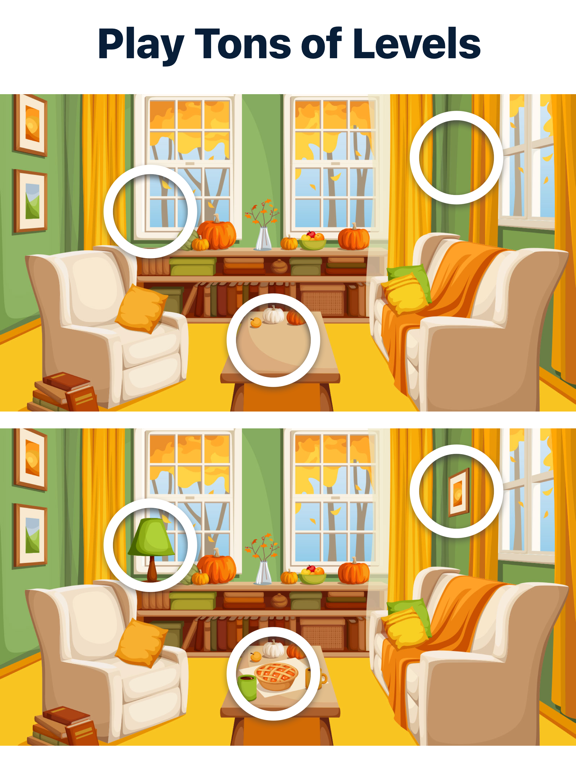 iPad Image of Differences - Find them All