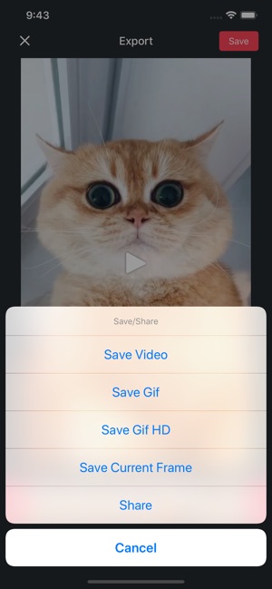 Live Converter - Live to Gif(圖3)-速報App