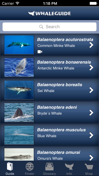 WhaleGuide for iPhone