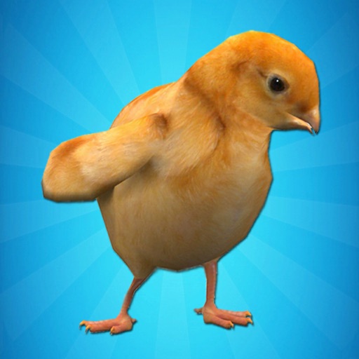 Chick Simulator icon