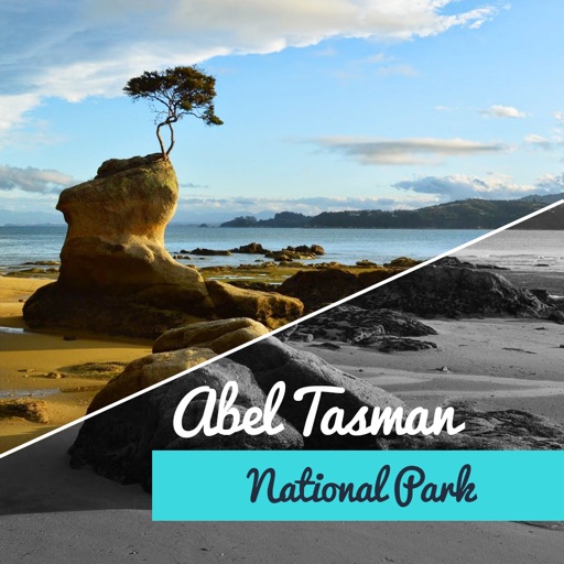 Abel Tasman National Park Tour
