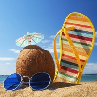 Amazing Vacations