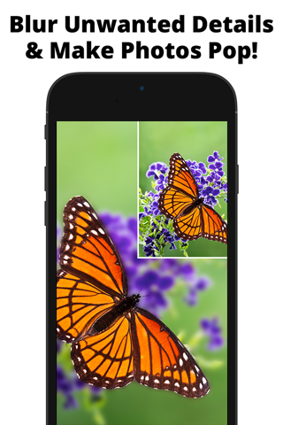 Blur Photo Effect Background screenshot 3