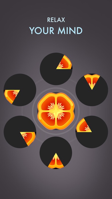 Slices Puzzle- Relaxing Game screenshot 3