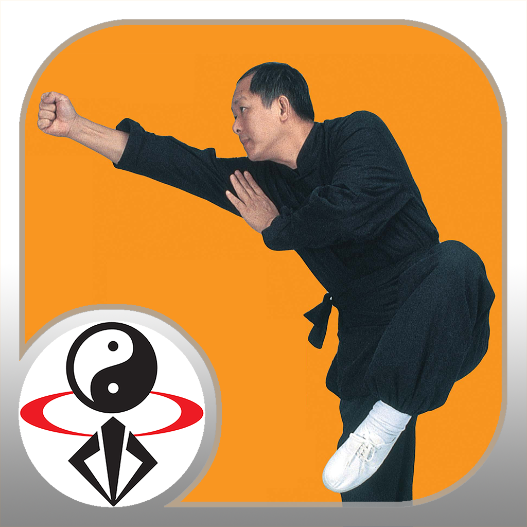 Get Shaolin Kung Fu Fundamental for iOS, iPhone, iPad Aso Report