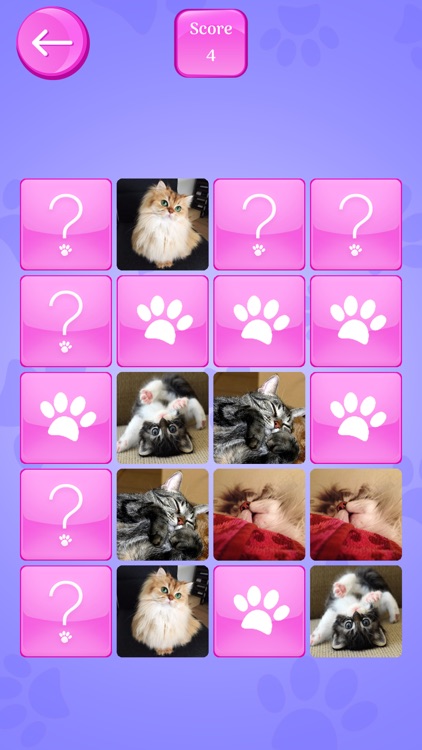 Cute Cats Memory Match Game