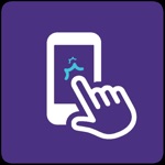 Paial na Palma da Mão