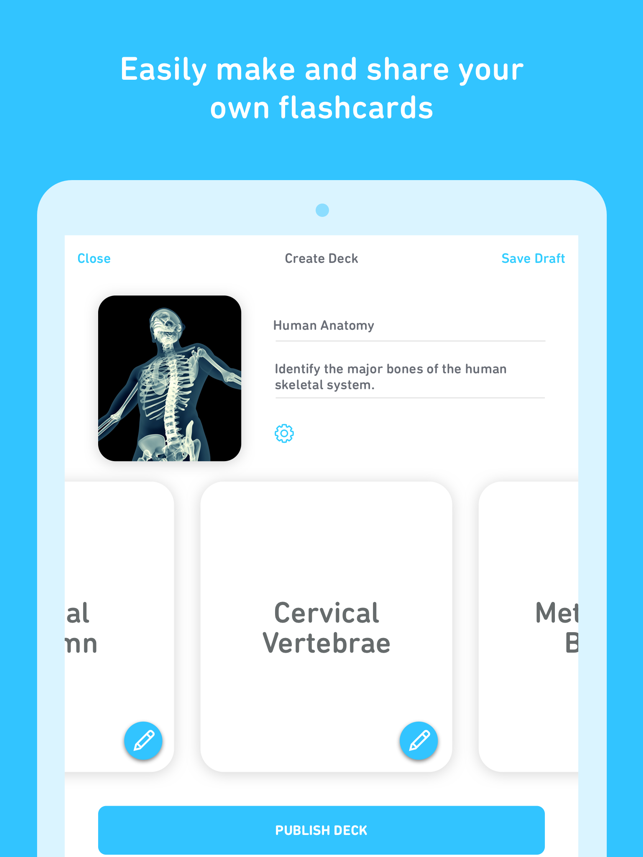 ‎Tinycards - Fun Flashcards Screenshot